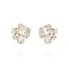 Caroline Svedbom "Noelle Stud Earrings Gold / Crystal" - Örhängen